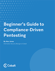 Beginner’s Guide to Compliance-Driven Pentesting (1)-1 copy